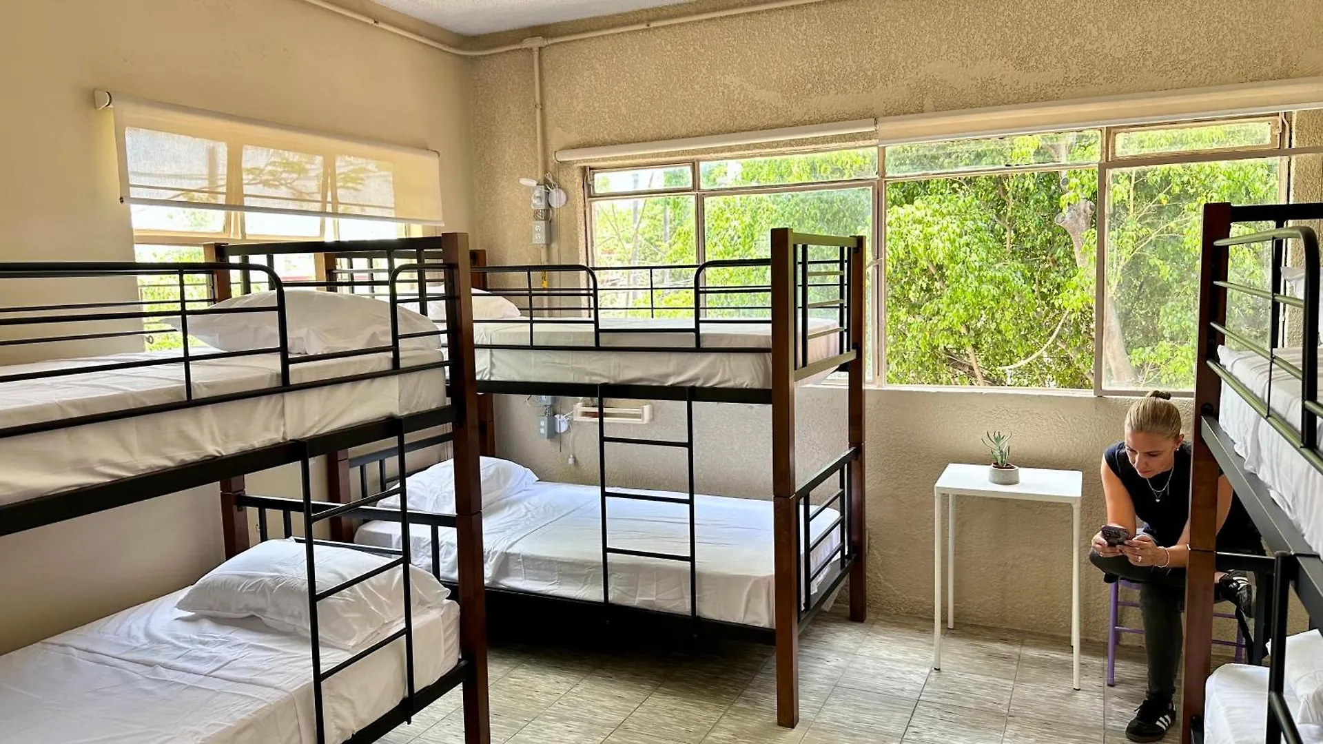 Casa Artemisa Hostal Guadalajara Pensión