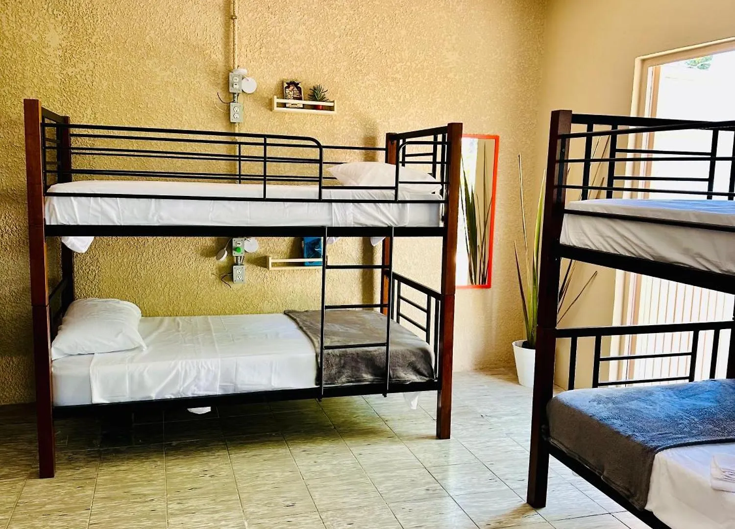 Guest house Casa Artemisa Hostal Guadalajara Mexico